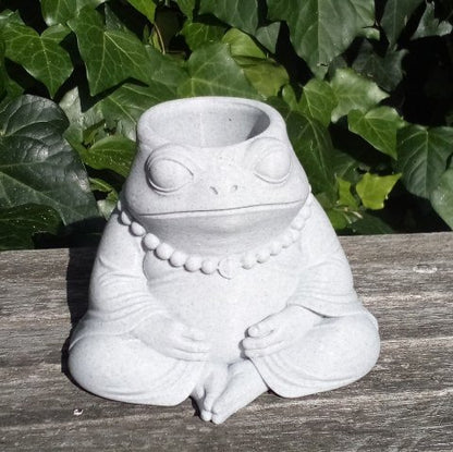 Sad Buddha Frog Plant Pot