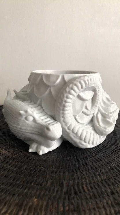 Dragons Nest Planter