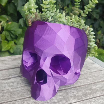 Geometric Skull Plant Pot