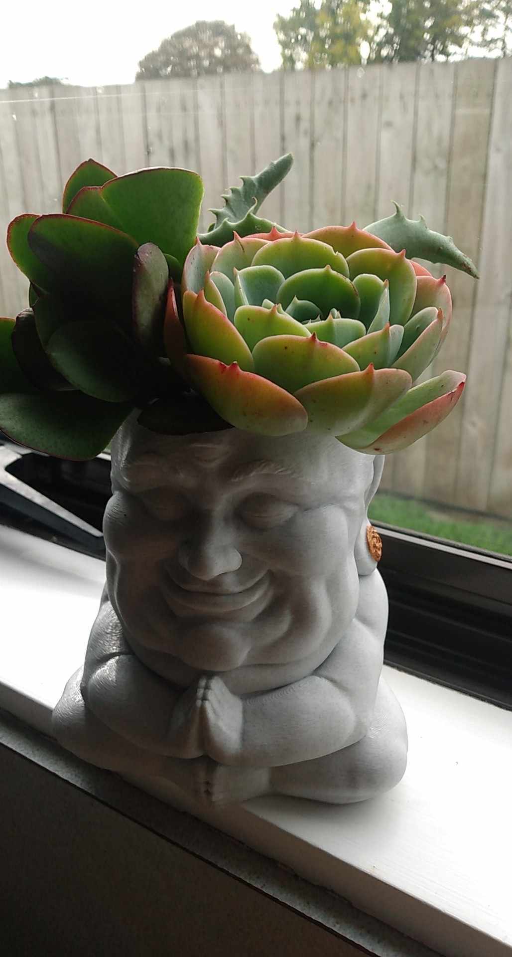 buddha pot plant Happy Buddha Plant Pot – Wyverns Forge New Zealand
