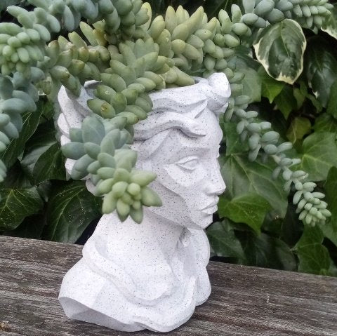 Medusa Planter