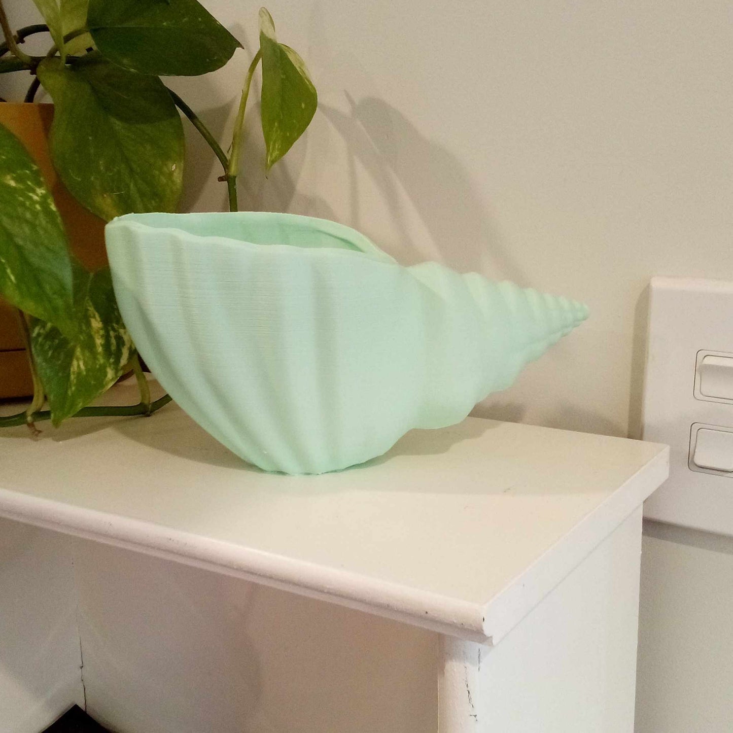 Sea Shell Plant Pot