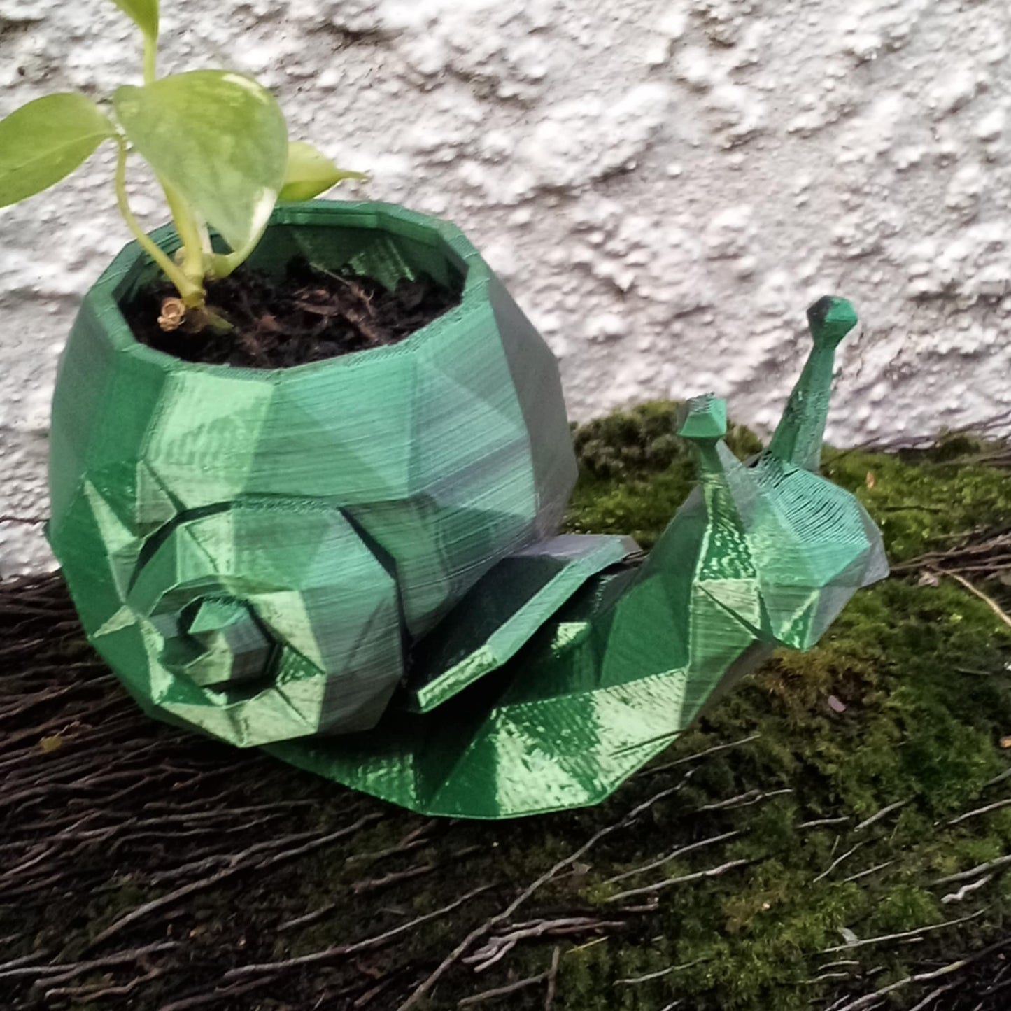 Geometric Snail Plant Pot