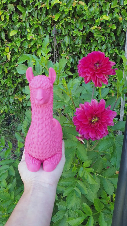 No Drama Llama Planters