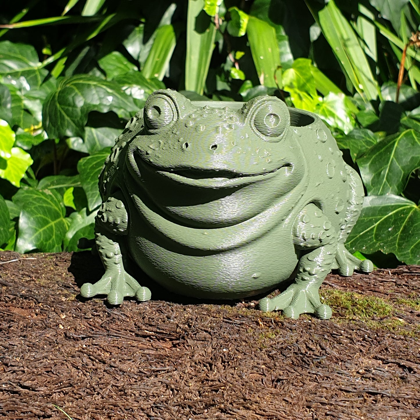 The Sage Frog Planter: A Sanctuary for Plant Rescues