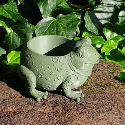 The Sage Frog Planter: A Sanctuary for Plant Rescues