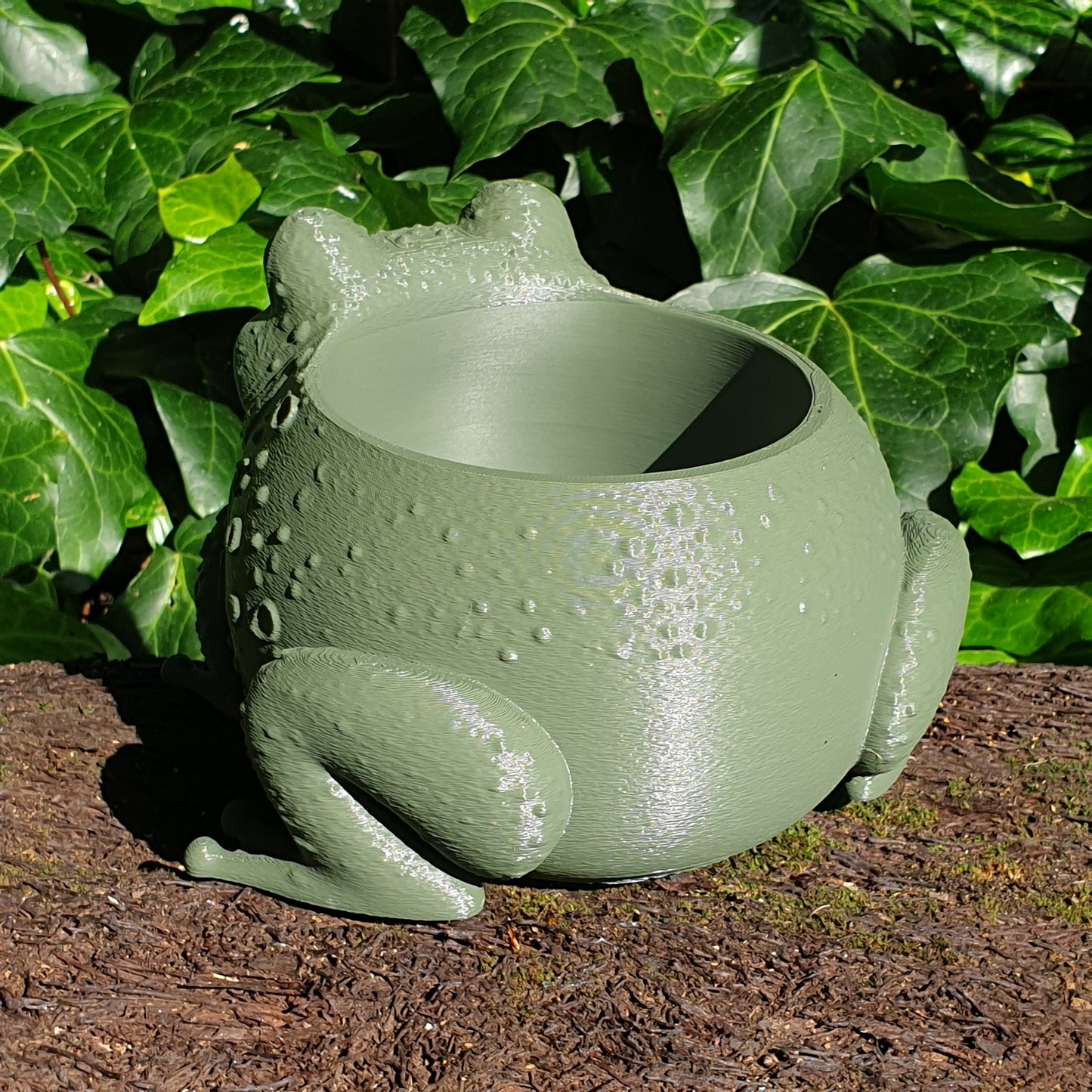 The Sage Frog Planter: A Sanctuary for Plant Rescues