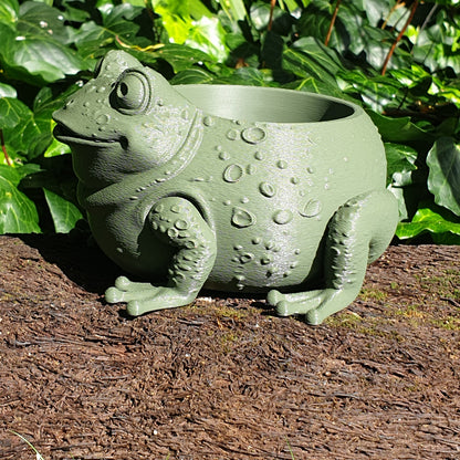 The Sage Frog Planter: A Sanctuary for Plant Rescues