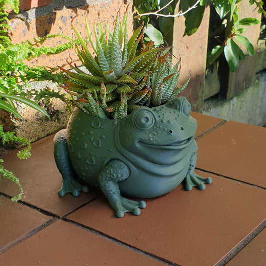 The Sage Frog Planter: A Sanctuary for Plant Rescues