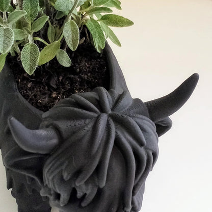 Highland Cow Planter